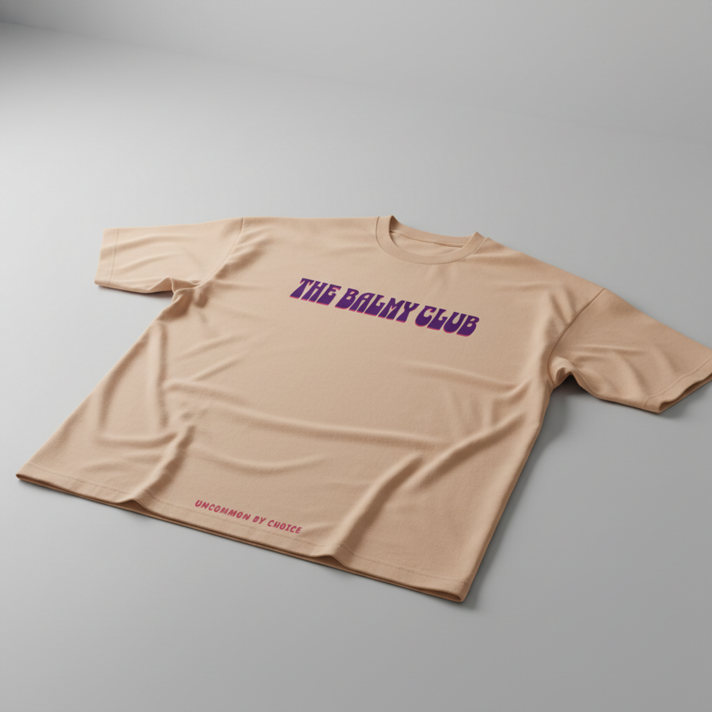 RISE HIGH OVERSIZED UNISEX GRAPHIC T-SHIRT